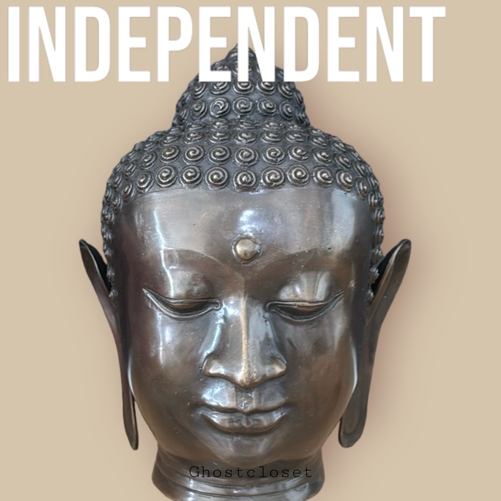 🎉Hosr pick!!🎉NWOT braassBuddha
